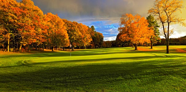 Golf Academy